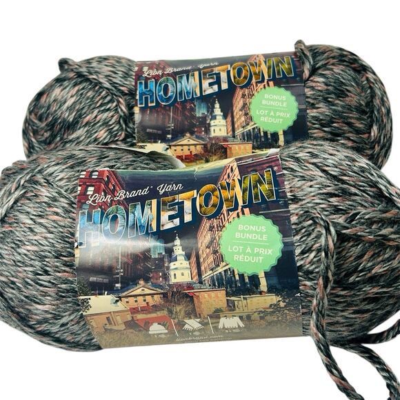 Lion Brand Yarn Hometown Bonus Bundle Salem Creek Lot 2 Skeins 8 oz Each - Picture 1 of 7